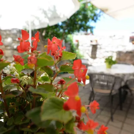 Stari