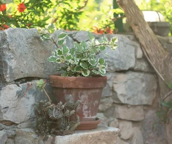 Apartamento Stari Murter