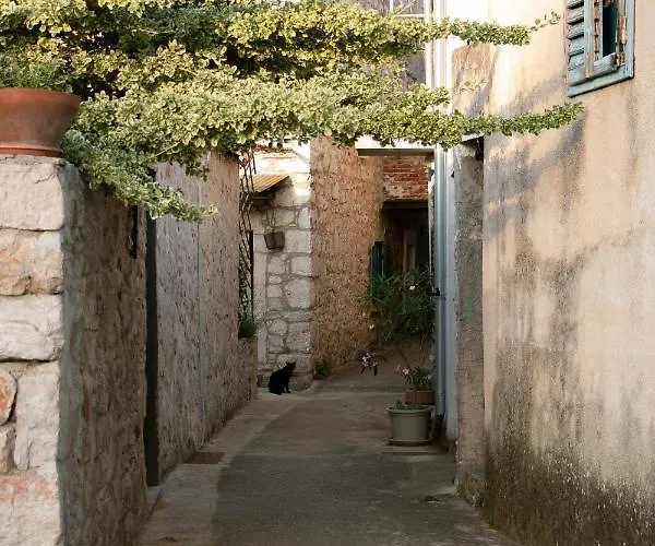 Stari Apartment Murter