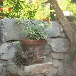 Apartament Stari Murter