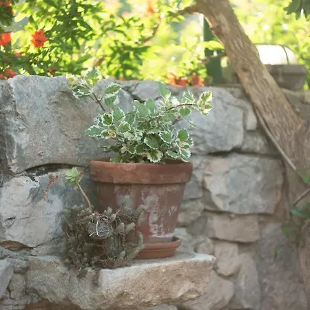 Apartment Stari Murter