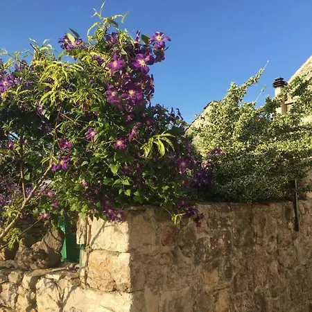 Stari مورتير